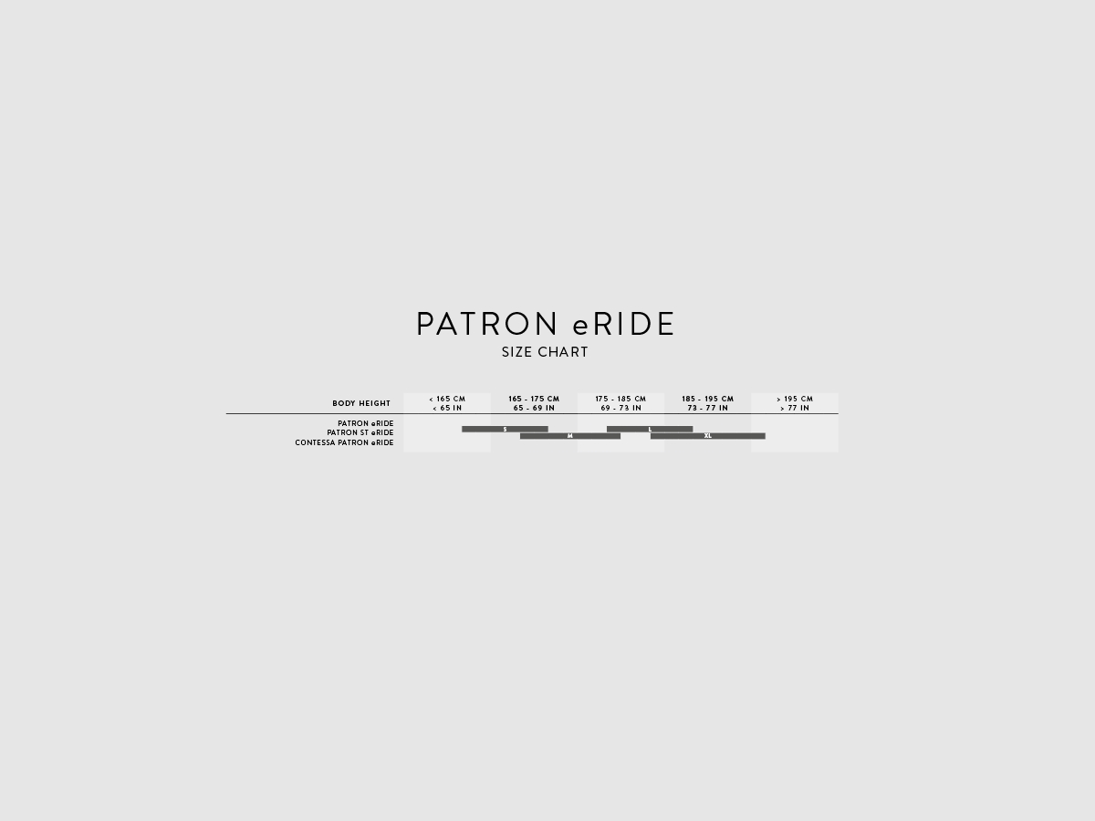Scott Patron eRide 910 Prism Grey Green Gloss 2024 bei Fahrrad Hoblik, Fahrrad-Spezialist aus Brand-Erbisdorf seit 1988, online kaufen
